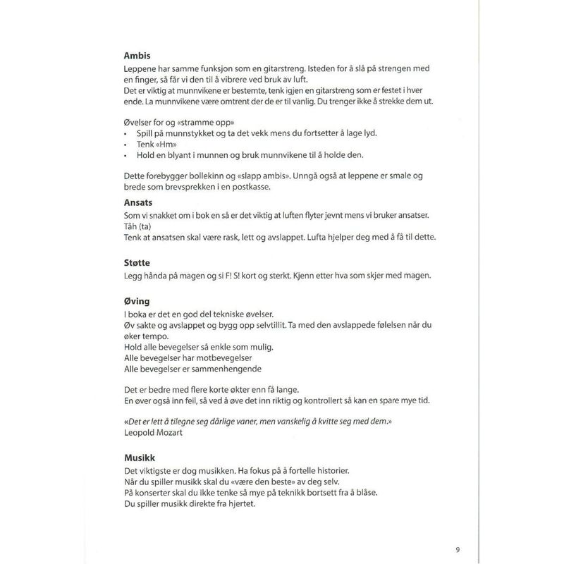 Spill Althorn Lærebok 2 - Elisabeth Vannebo