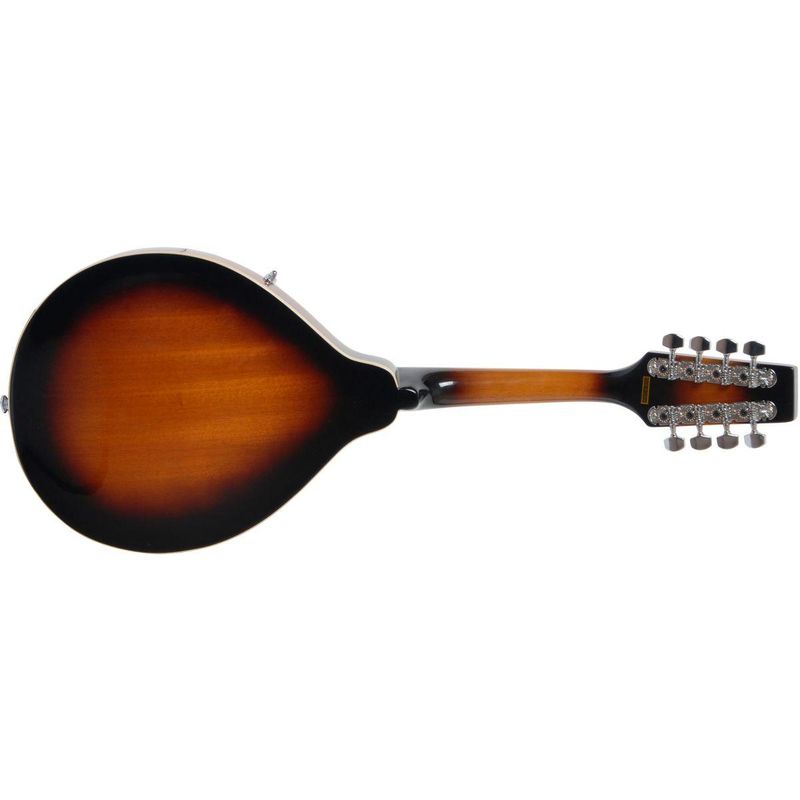 Morgan Mandolin M 20 VS