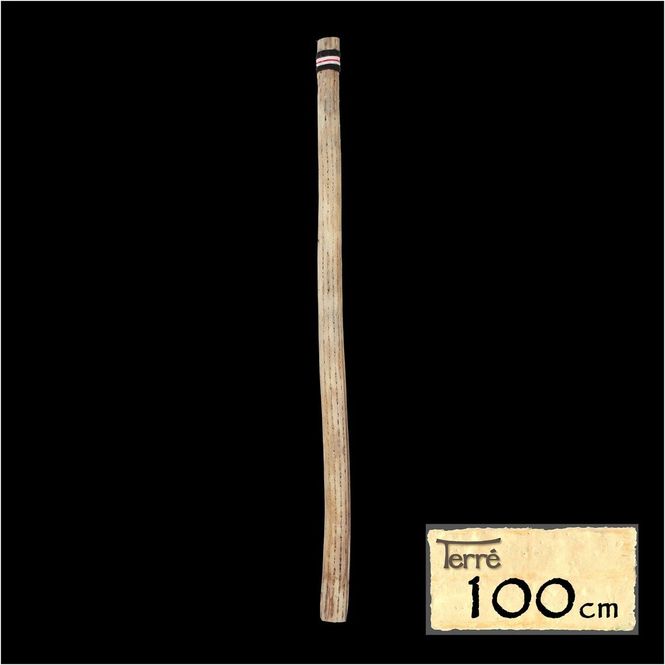 Hovedbilde Regnstav av kaktus 100 cm, Ø 4-6 cm