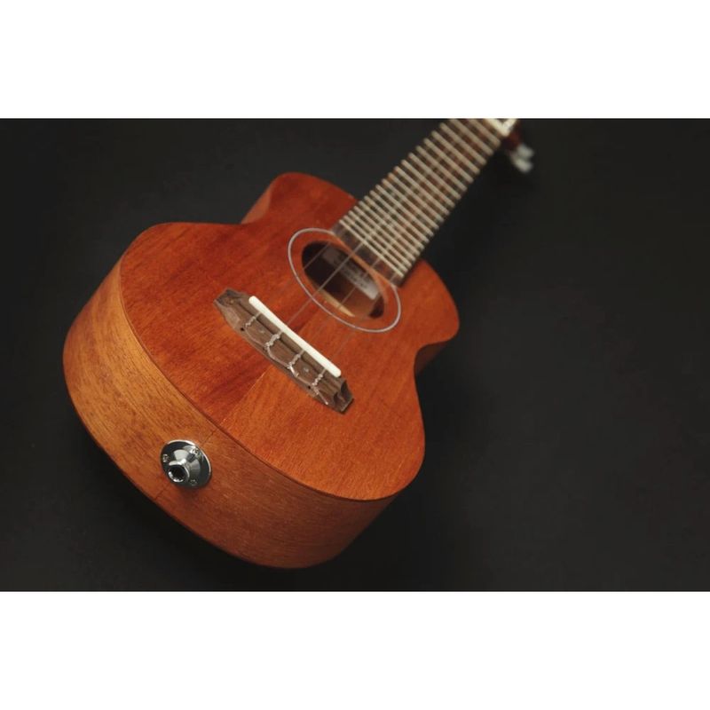 Takamine EGU-C1 Concert Ukulele med pickup