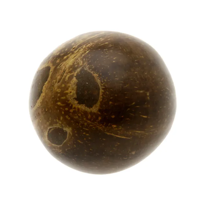 Hovedbilde Rytmeegg av kokosnøtt CR-09 med stålkuler