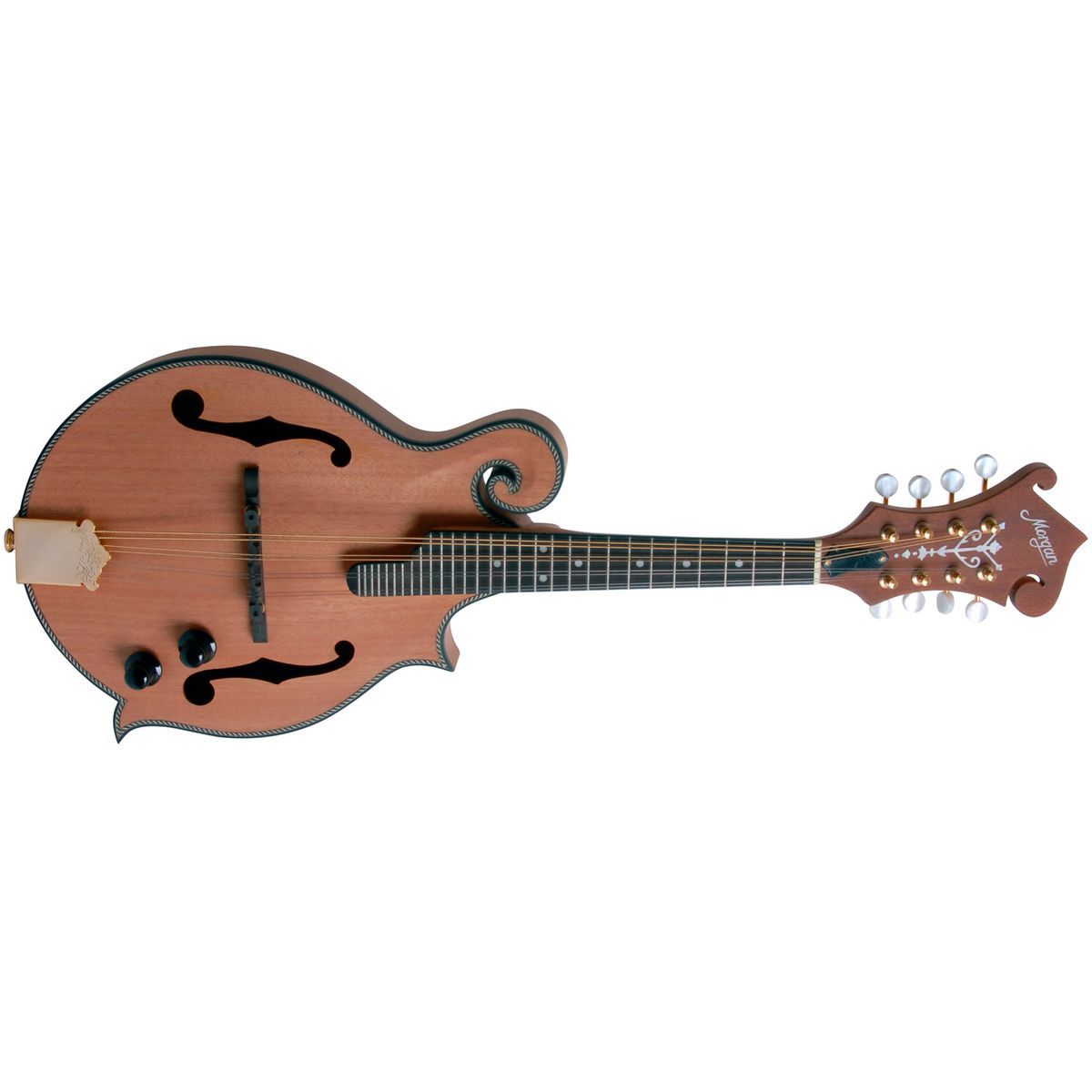 Morgan M 63 E NM Mandolin med pickup og kasse