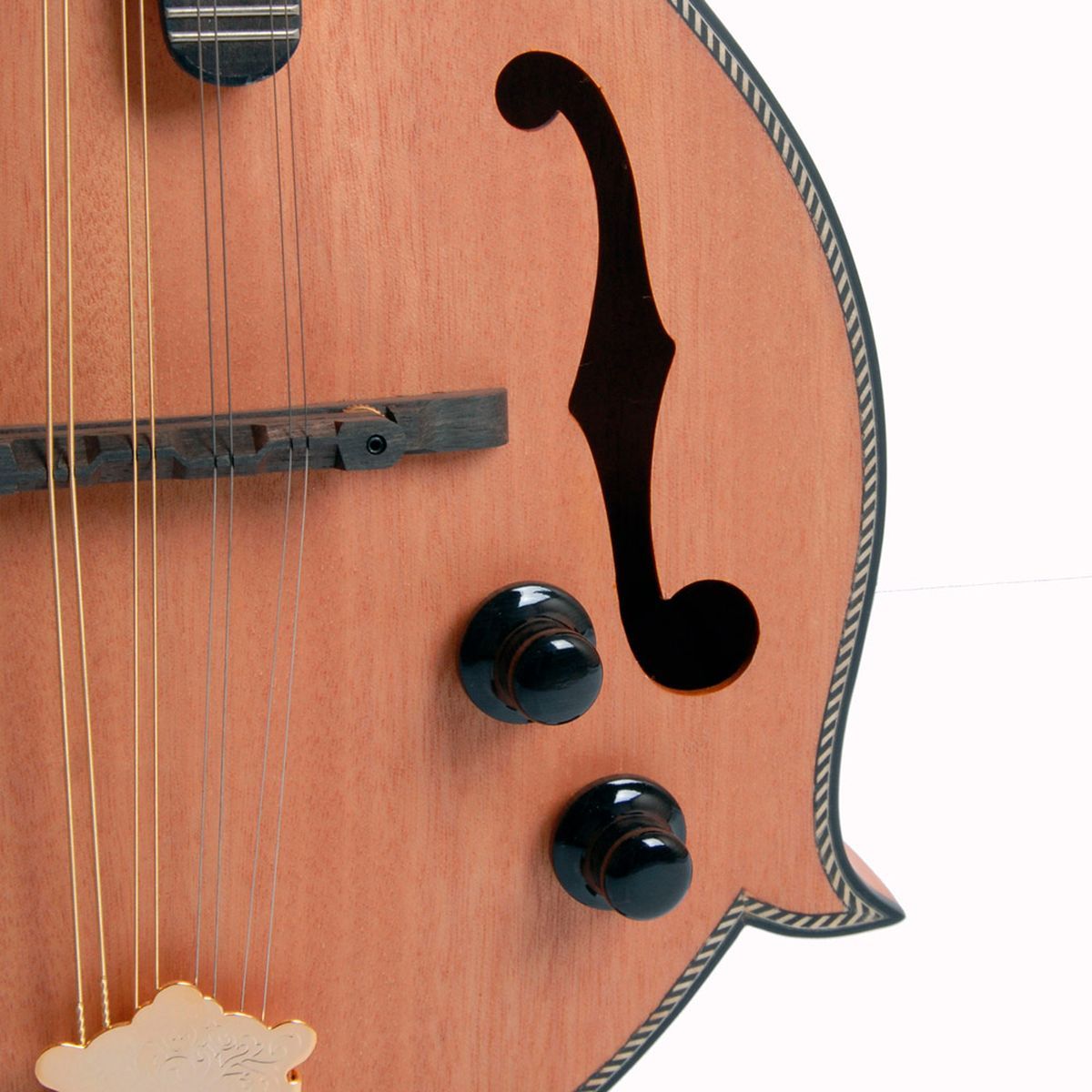 Morgan M 63 E NM Mandolin med pickup og kasse